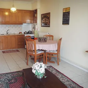 https://apt-sunny-near-the-center.hotelschalkidiki.net